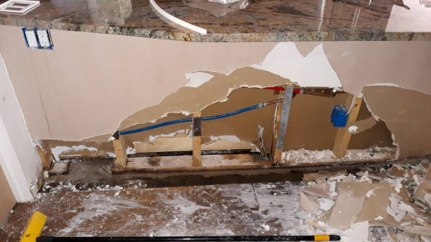 Best Carpet water damage restoration  in Hobart, IN