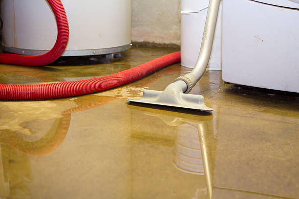 Best Professional water damage repair  in Hobart, IN